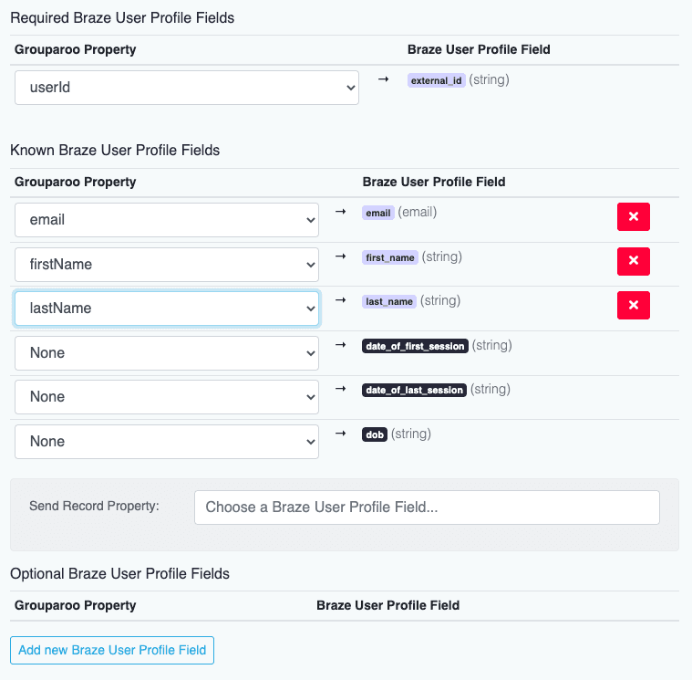 Braze Export Contacts: Record Data